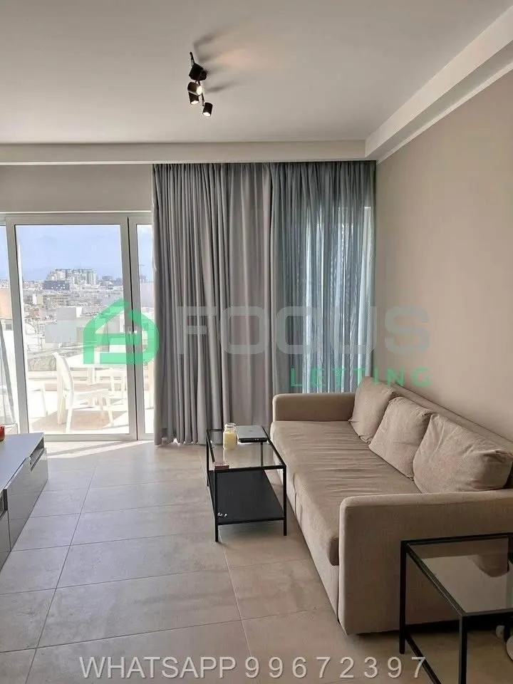 Modern 1 Bedroom Penthouse