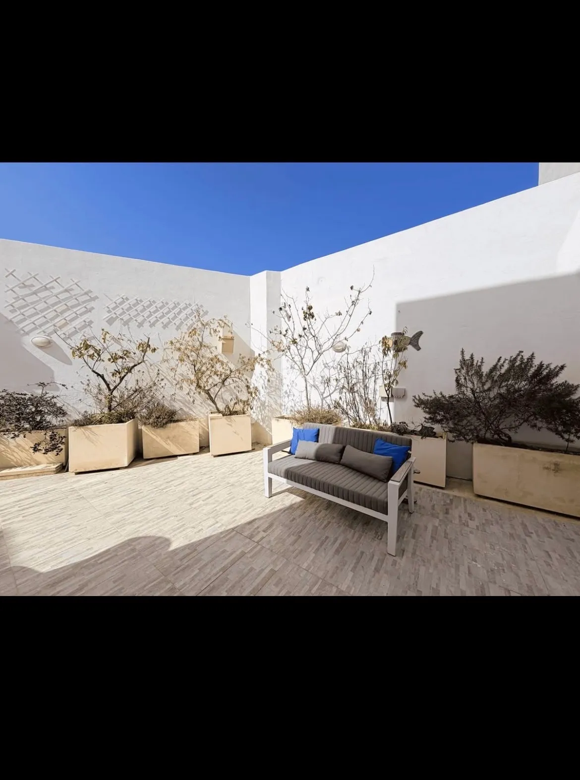 AVAILABLE NOW, SWIEQI