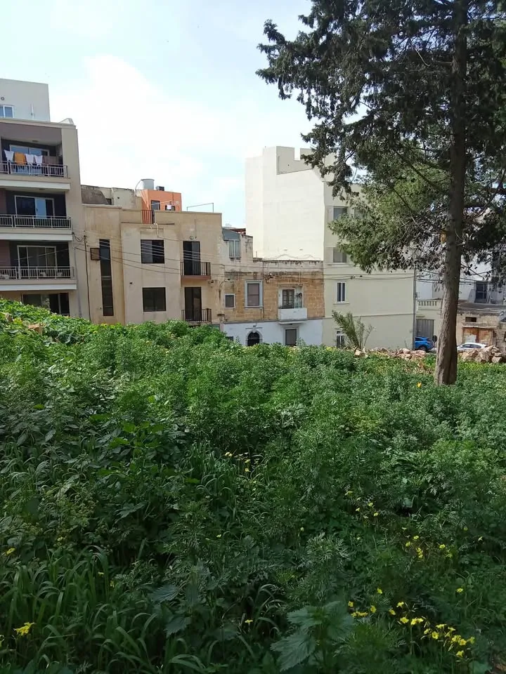 2 Bedroom Apartment in Fgura