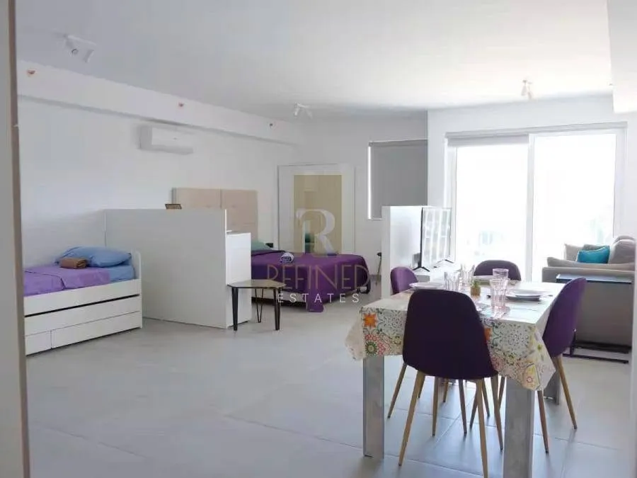 Modern studio apartment